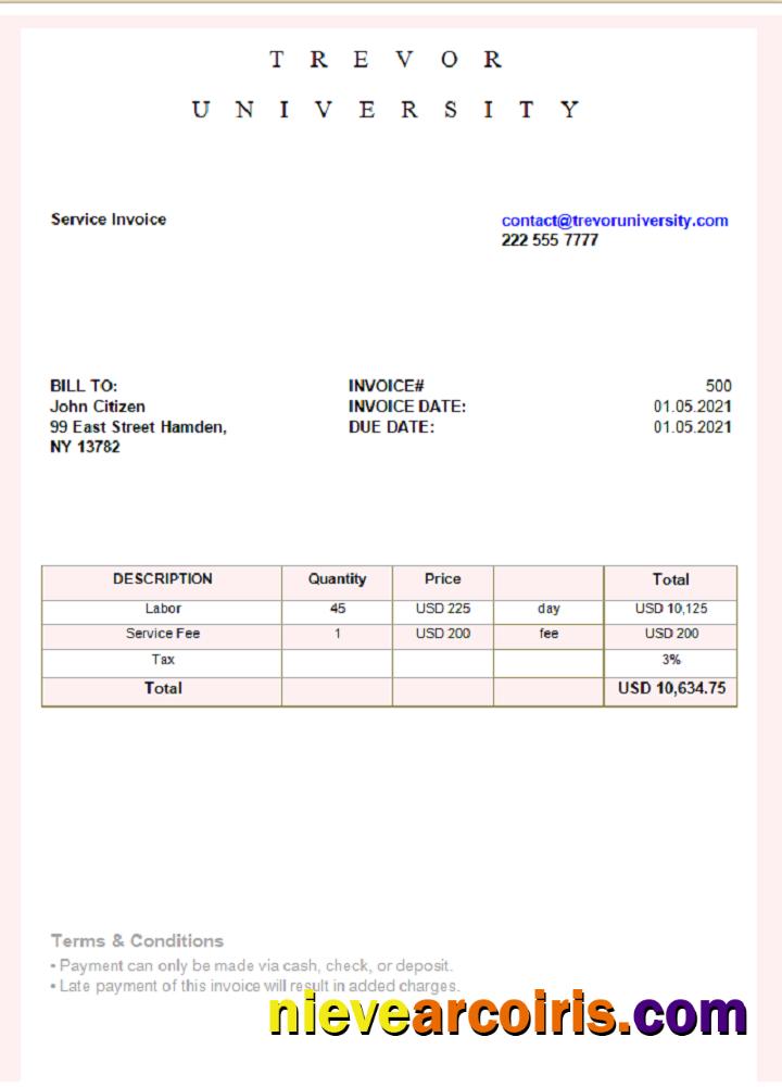 USA Trevor University invoice